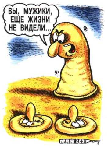Карикатура, Александр Маркелов