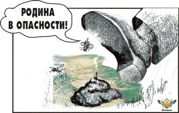 Карикатура, Алексей Молчанов