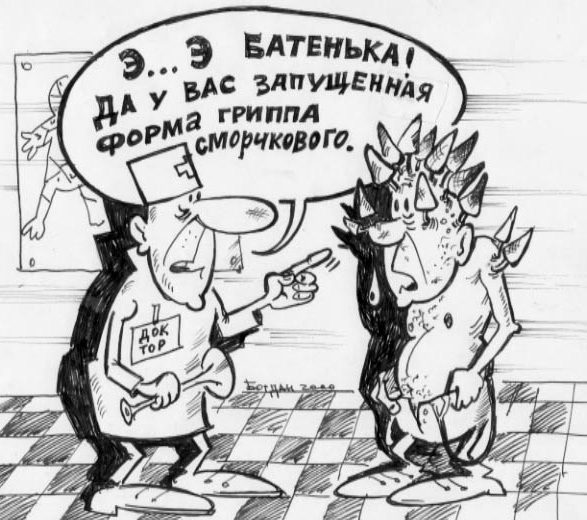 Карикатура, Владимир Богдан