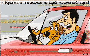 Карикатура, Сергей Самсонов