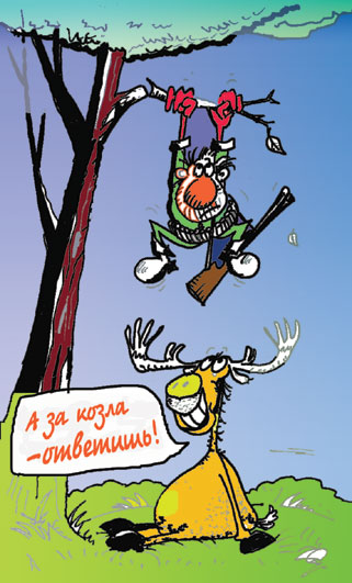 Карикатура, Сергей Луцюк