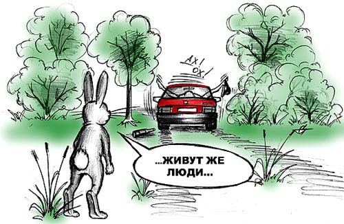 Карикатура, Сергей Степанов (Ток)
